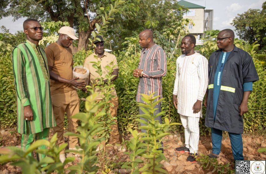Campagne de reforestation 2025 : 7000 plants offerts au Président du Faso par le CFP-MEB