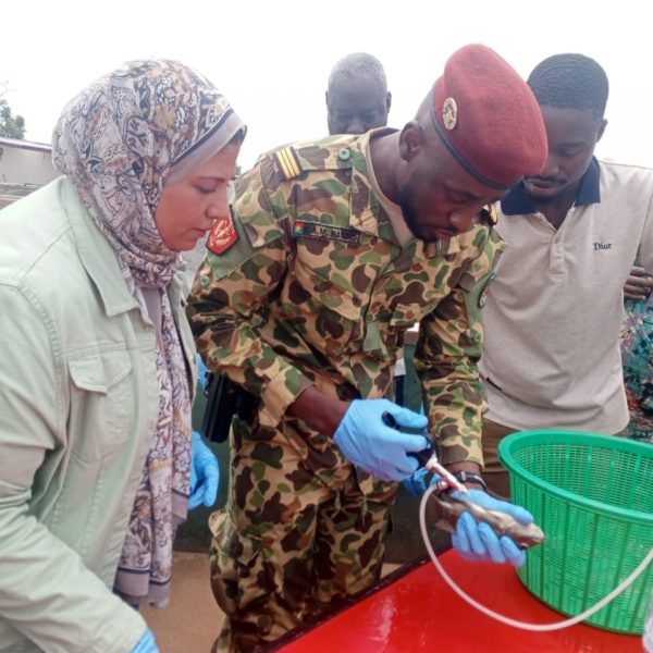 Vaccination des poissons au Burkina Faso : des agents vétérinaires formés à Loumbila