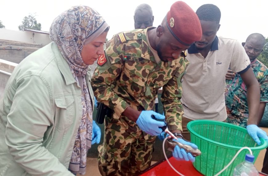 Vaccination des poissons au Burkina Faso : des agents vétérinaires formés à Loumbila