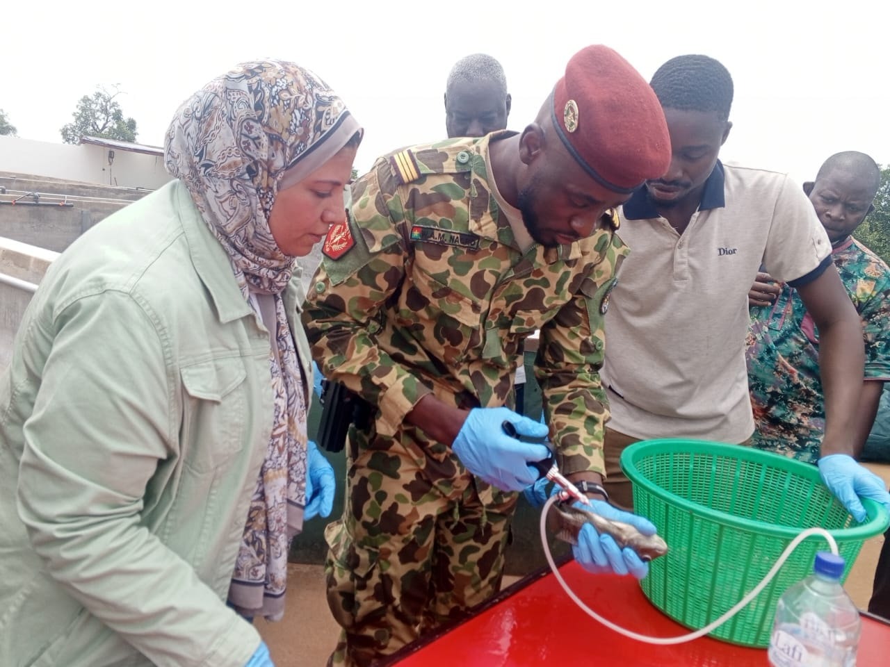 Vaccination des poissons au Burkina Faso : des agents vétérinaires formés à Loumbila