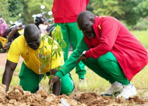 Protection de l’environnement : la FBF agit pour reverdir le Burkina Faso