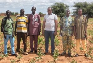 Campagne agropastorale 2025-2026 : la résilience remarquable des acteurs à Djibo