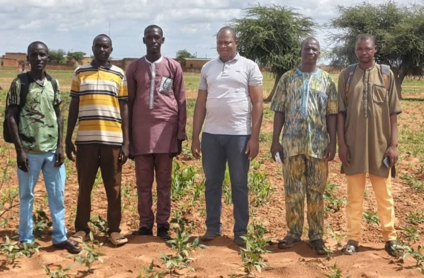 Campagne agropastorale 2025-2026 : la résilience remarquable des acteurs à Djibo
