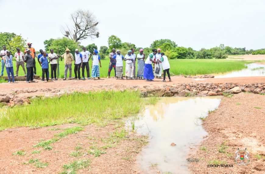 Programme pour le renforcement de la résilience des petits producteurs : une mission de terrain à Yaadga et Nando