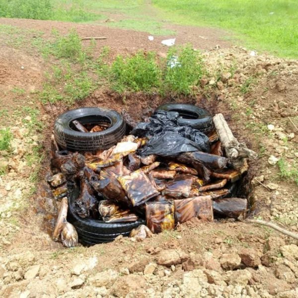 Trafic de produits d’origine animale : 205 kg de poulet impropre saisis et détruits à Cinkansé
