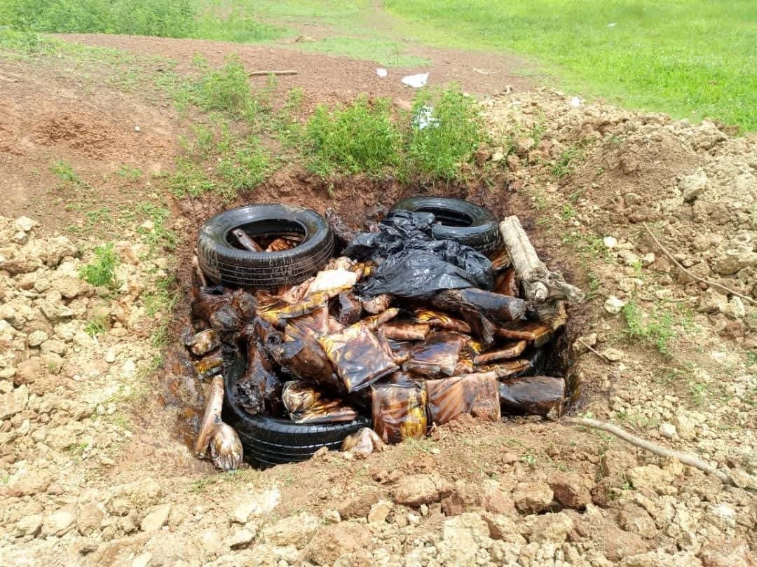Trafic de produits d’origine animale : 205 kg de poulet impropre saisis et détruits à Cinkansé