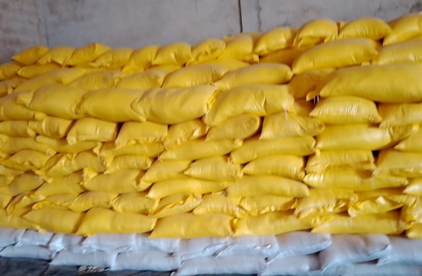 Production de riz : Bobo-Dioulasso booste sa capacité grâce à une trieuse optique moderne