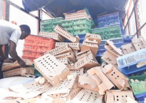 Contrôle renforcé des produits d’origine animale : 88 600 poussins et une tonne d’aliments détruits