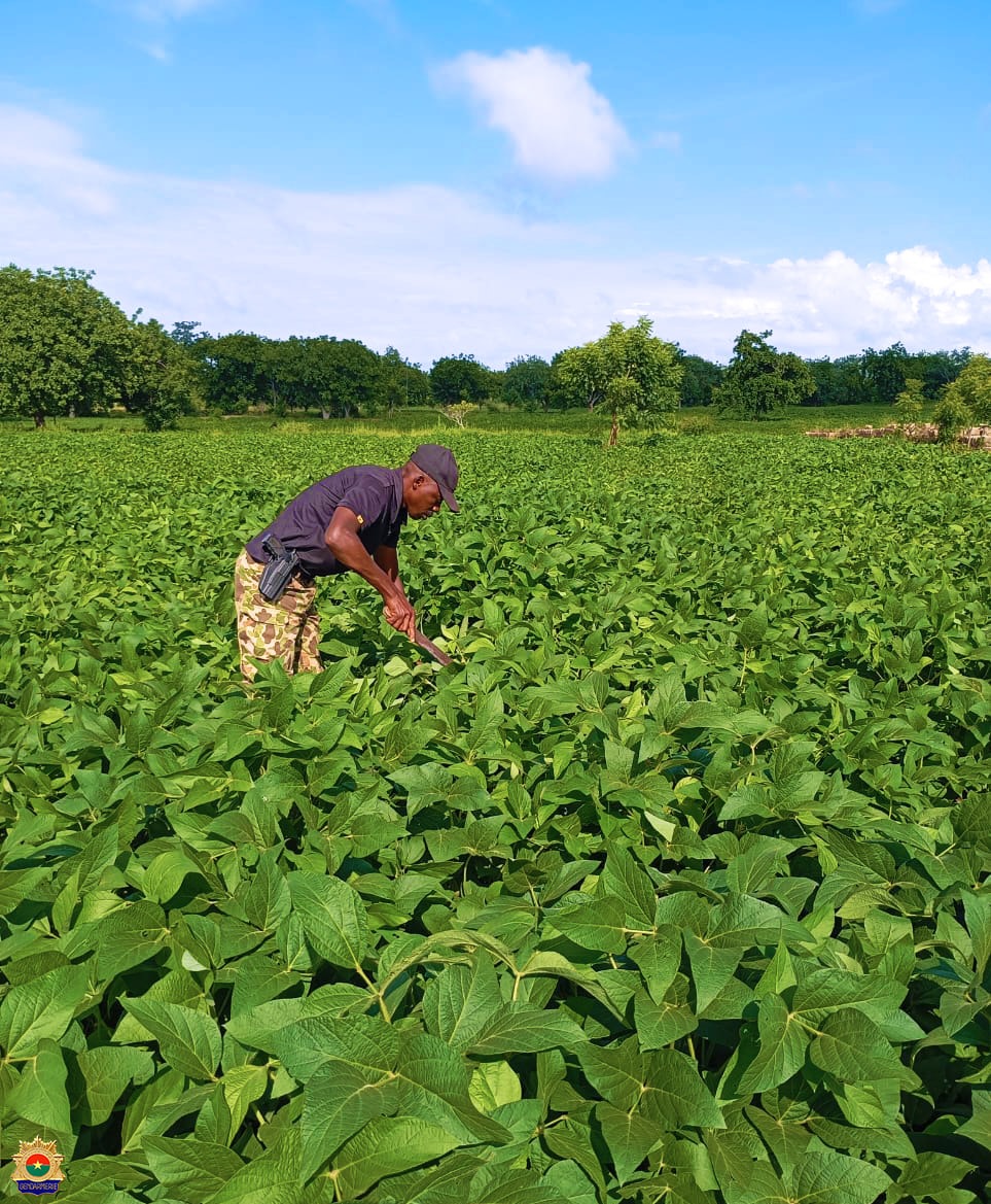 Reconquête du territoire et souveraineté alimentaire : l’ESRI II de Bondokuy cultive 43 hectares pour renforcer la résilience nationale