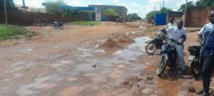 Dégradation du couvert végétal : un phénomène préoccupant à Ouagadougou