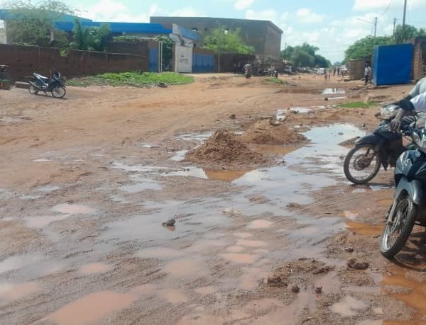 Dégradation du couvert végétal : un phénomène préoccupant à Ouagadougou