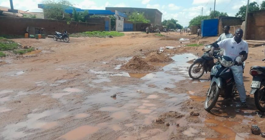 Dégradation du couvert végétal : un phénomène préoccupant à Ouagadougou