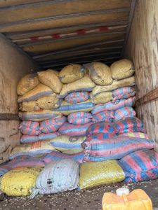 Lutte contre la fraude sur les amandes de karité : plus de 1 800 tonnes d’amandes saisies