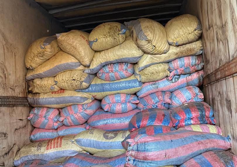 Lutte contre la fraude sur les amandes de karité : plus de 1 800 tonnes d’amandes saisies