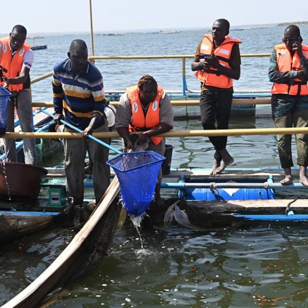 Campagne de vaccination animale : le ministre Dicko supervise l’opération de vaccination des poissons à Samandeni