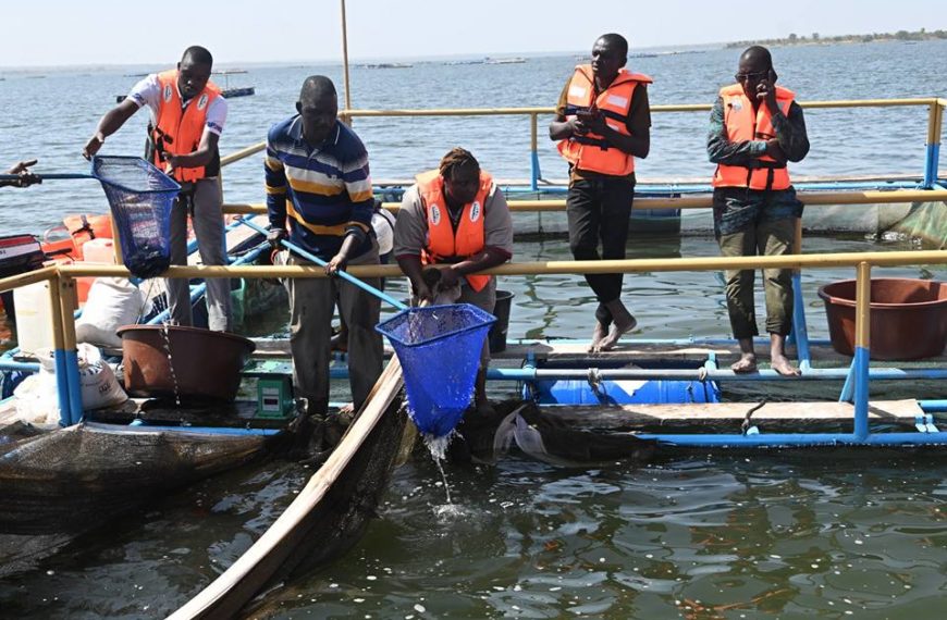 Campagne de vaccination animale : le ministre Dicko supervise l’opération de vaccination des poissons à Samandeni