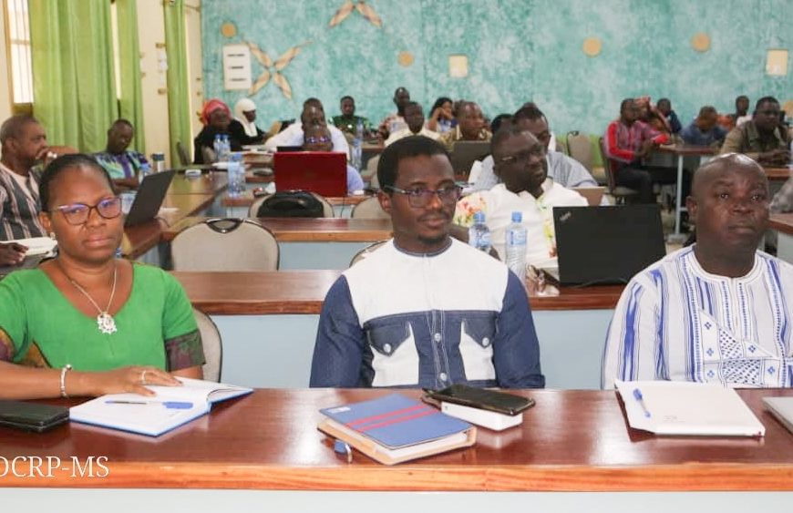 Lutte contre le paludisme : les acteurs capitalisent les acquis de la campagne MILDA 2025