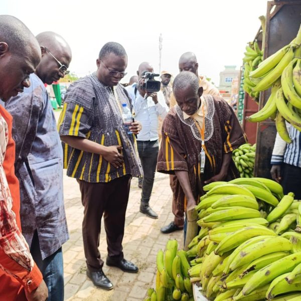 Poni : les Journées promotionnelles agricoles s’ouvrent à Gaoua