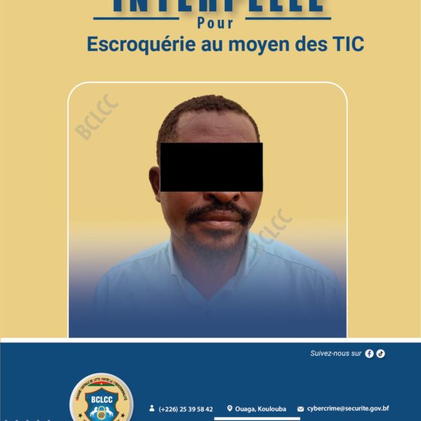 Lutte contre la cybercriminalité : un faux vendeur interpellé