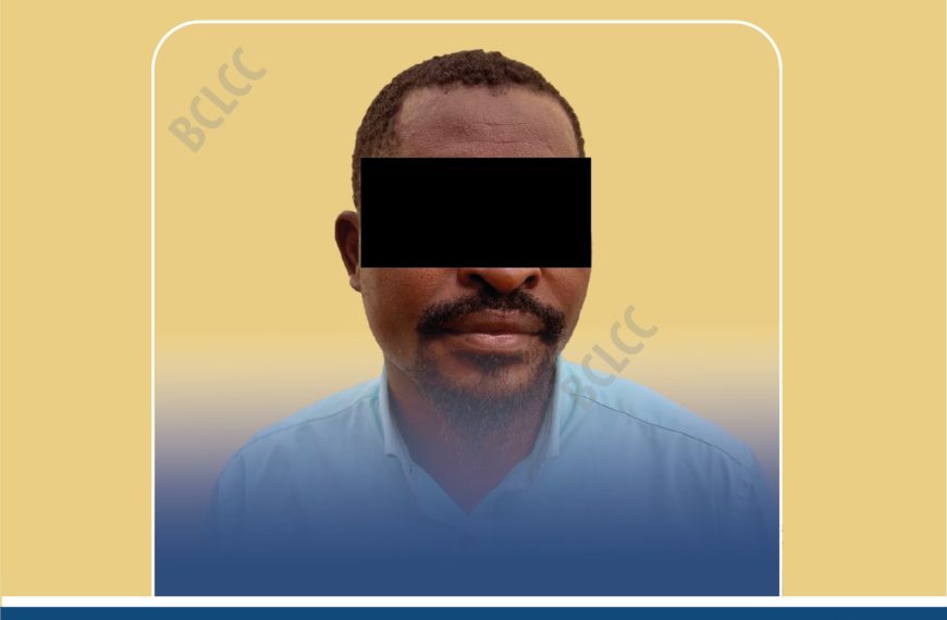 Lutte contre la cybercriminalité : un faux vendeur interpellé