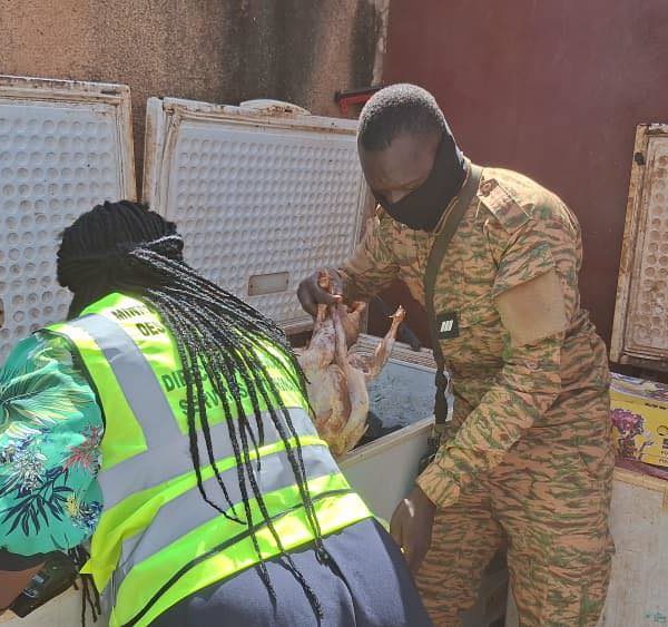 La DGSV Burkina Faso traque les importations frauduleuses de volailles