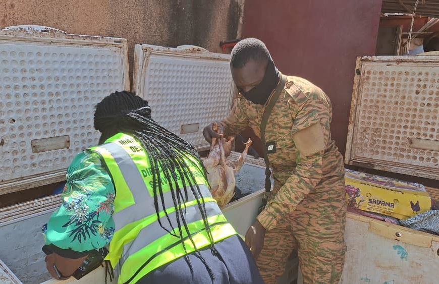 La DGSV Burkina Faso