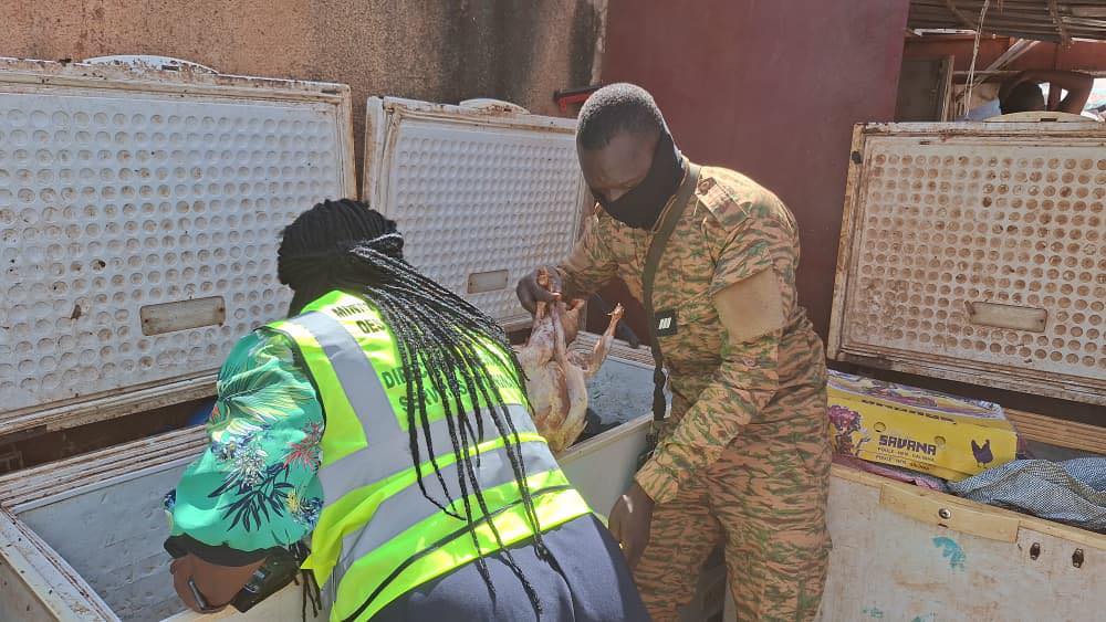 La DGSV Burkina Faso