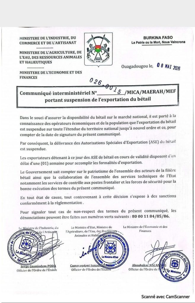 Exportation du bétail : la vente est suspendue