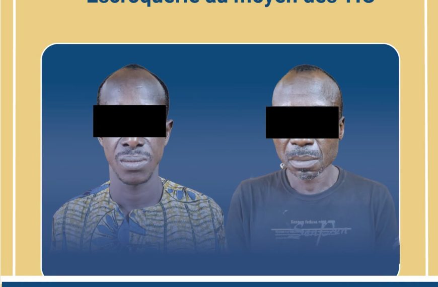 lutte contre la cybercriminalité