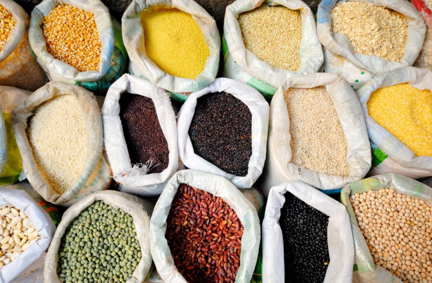 Céréales locales et riz importé : le match nutritionnel et économique