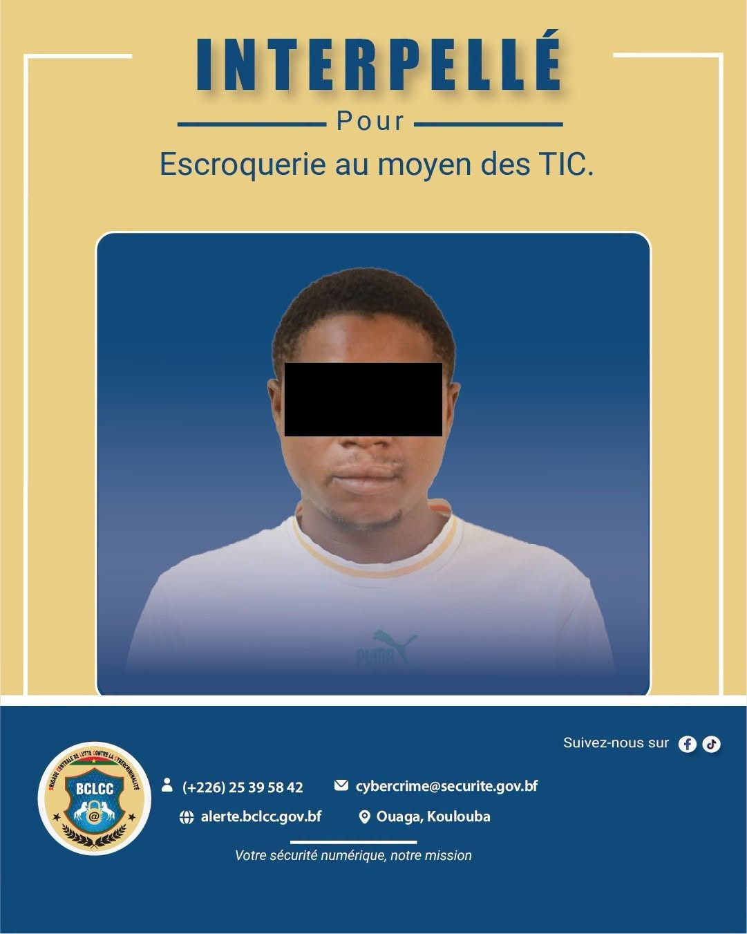 Escroquerie en ligne